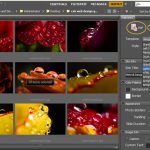 Photoshop Web Gallery Plug-in Update 5.5.1